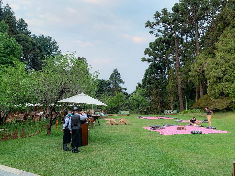 Picnic no gramado